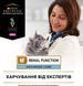 Сухий корм Purina Pro Plan Veterinary Diets NF Renal для котів при захворюваннях нирок 350 г 3603601 фото 5