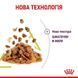 Вологий корм Royal Canin Sensory Smell Jelly для вибагливих до аромату котів, шматочки в желе 85 г 15270010 фото 3
