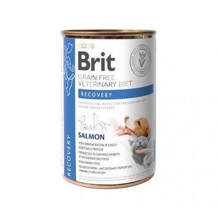 Вологий корм Brit GF Veterinary Diets Recovery для собак та котів при відновленні після хвороби чи операції, з лососем 400 г 100291 фото