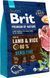 Сухой корм Brit Premium Dog Sensitive Lamb для взрослых собак всех пород с чувствительным пищеварением, с ягненком и рисом 3 кг 170843/6628 фото 2