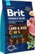 Сухой корм Brit Premium Dog Sensitive Lamb для взрослых собак всех пород с чувствительным пищеварением, с ягненком и рисом 3 кг 170843/6628 фото 1