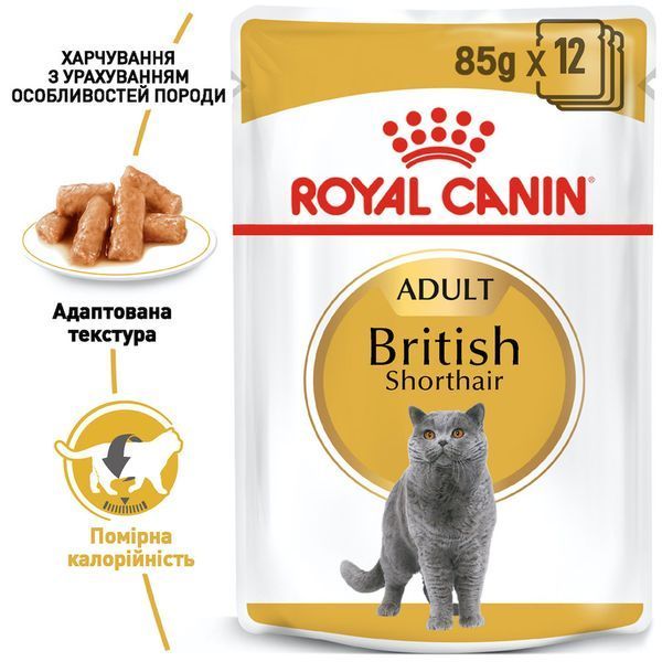 Вологий корм Royal Canin British Shorthair для дорослих котів, британська порода 85 г 20320010 фото