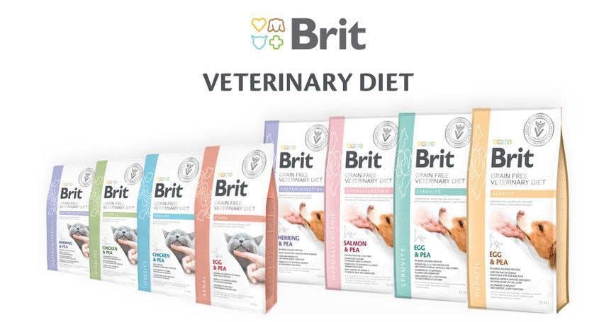 Сухий корм Brit GF Veterinary Diets Hypoallergenic для котів з харчовою алергією та непереносимістю, з лососем та жовтим горохом 2 кг 170960/528370 фото