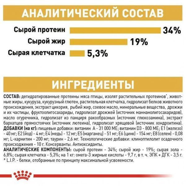 Сухий корм Royal Canin British Shorthair для дорослих котів, британська порода 4 кг 2557040 фото