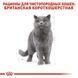 Сухий корм Royal Canin British Shorthair для дорослих котів, британська порода 4 кг 2557040 фото 5