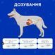 Пробіотик Modes Kombiflor Probitik для собак та котів, підтримка балансу мікрофлори кишечника 15 пакетиків ЗС000319 фото 7