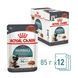 Вологий корм Royal Canin Hairball Care для дорослих котів, ефект виведення шерсті, шматочки в соусі 12х85 г 4158001_12 фото 2