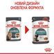Вологий корм Royal Canin Hairball Care для дорослих котів, ефект виведення шерсті, шматочки в соусі 12х85 г 4158001_12 фото 1