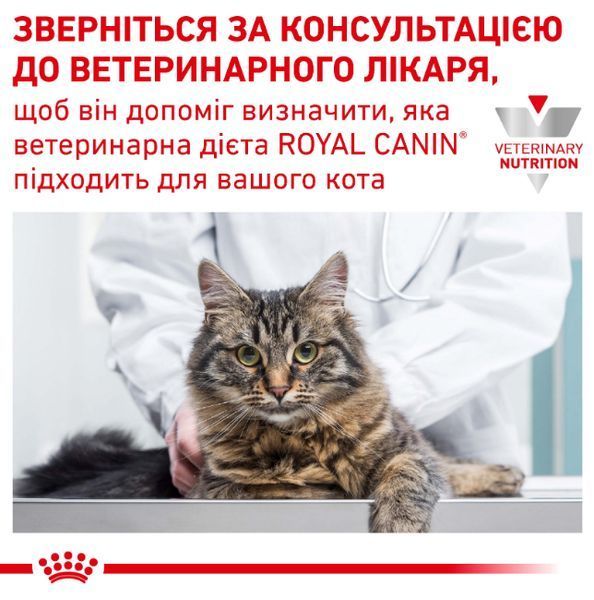 Вологий корм Royal Canin Urinary S/O для котів з сечокам'яною хворобою, шматочки в соусі, 85 г 40320010 фото