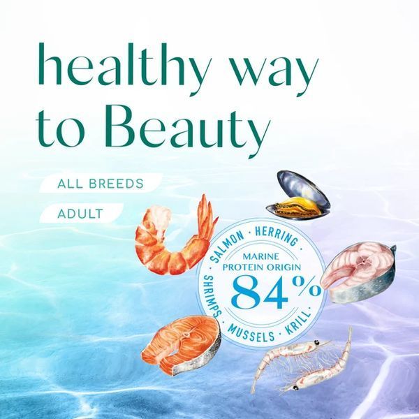 Сухий корм Optimeal Beauty Podium для дорослих котів, догляд за шерстю та зубами, на основі морепродуктів 4 кг B1842201 фото