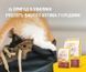 Сухой корм Josera Kitten для котят, беременных и лактирующих кошек, с домашней птицей 10 кг j748960 фото 7
