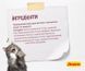 Сухой корм Josera Kitten для котят, беременных и лактирующих кошек, с домашней птицей 10 кг j748960 фото 4