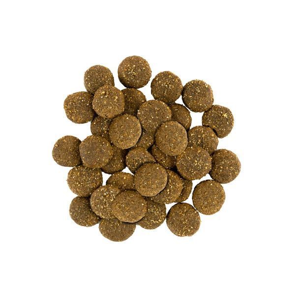 Сухой корм Savory Dog Adult Large Breeds для взрослых собак больших пород от 25 кг, со свежим ягненком и индейкой 3 кг 30235 фото
