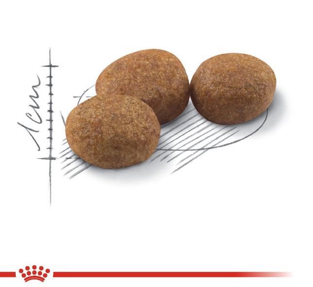 Сухий корм Royal Canin Sterilised 37 для дорослих стерилізованих котів 400 г 12210 фото
