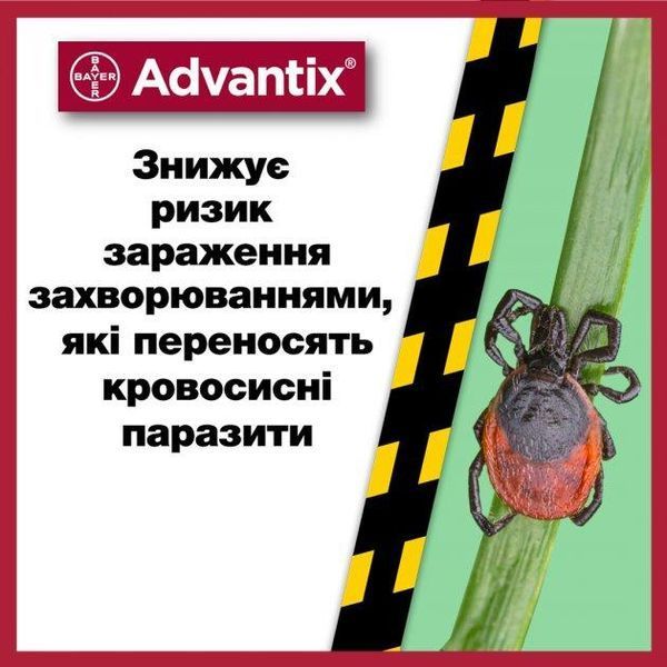 Краплі Адвантікс (Advantix) для собак, від бліх та кліщів вагою 25-40 кг, 1 піпетка 17076 фото