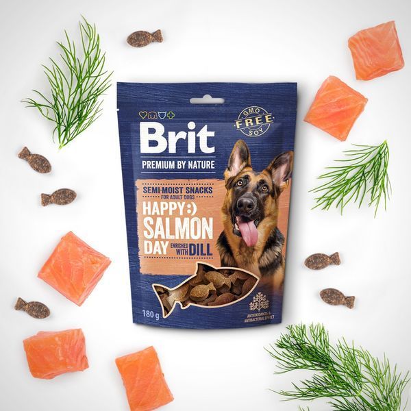 Лакомство Brit Premium Semi-moist Snacks для взрослых собак, лосось и укроп 180 г 112281 фото