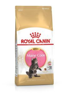 Сухий корм Royal Canin Maine Coon Kitten для кошенят, породи мейн-кун до 15 місяців 400 г 2558004 фото