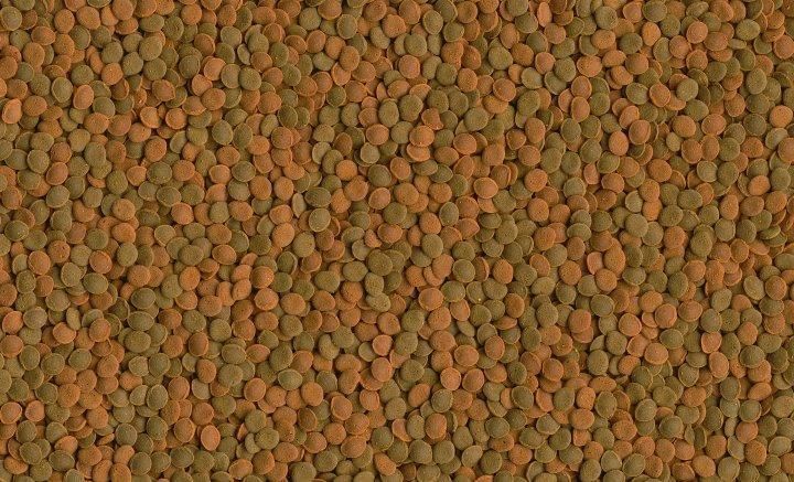 Сухий корм Tetra &laquo;Wafer Mix&raquo; для акваріумних та донних риб, в пластинках 48 г 134461 фото