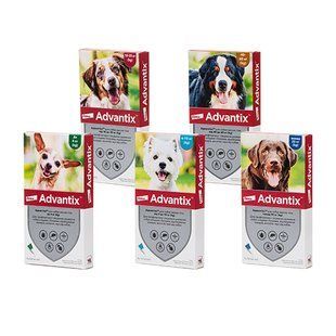 Краплі Адвантікс (Advantix) для собак, від бліх та кліщів вагою 4-10 кг, 4 піпетки 17074х4 фото