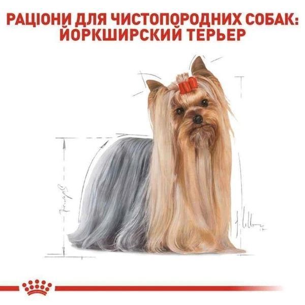 Вологий корм Royal Canin Yorkshire Terrier Adult для дорослих собак, породи йоркширського тер'єра 85 г 20400010 фото