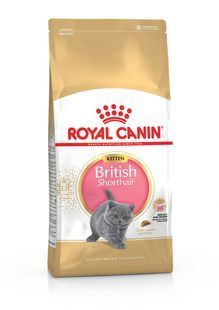 Сухий корм Royal Canin British Shorthair Kitten для кошенят, британська порода 10 кг 2566100 фото