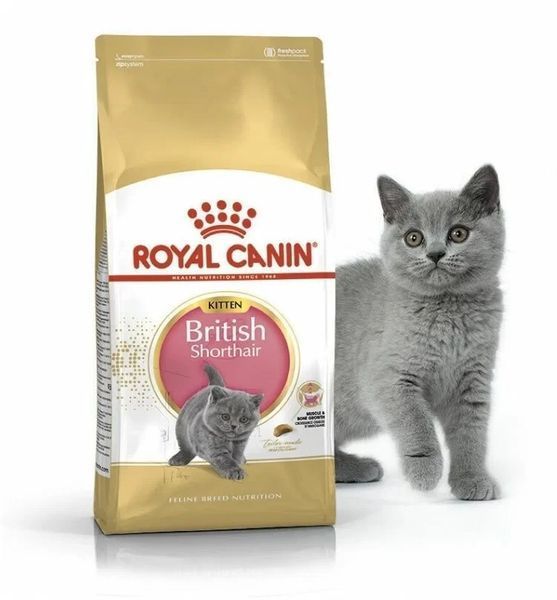 Сухий корм Royal Canin British Shorthair Kitten для кошенят, британська порода 400 г 2566004 фото