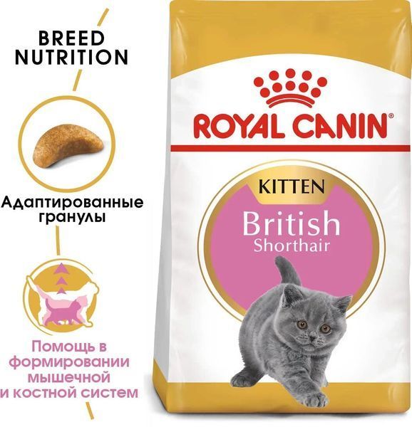 Сухий корм Royal Canin British Shorthair Kitten для кошенят, британська порода 400 г 2566004 фото
