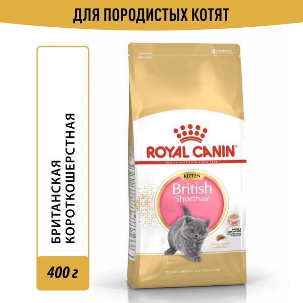 Сухий корм Royal Canin British Shorthair Kitten для кошенят, британська порода 400 г 2566004 фото