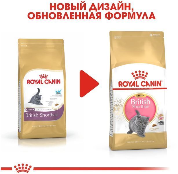 Сухий корм Royal Canin British Shorthair Kitten для кошенят, британська порода 400 г 2566004 фото