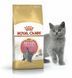 Сухий корм Royal Canin British Shorthair Kitten для кошенят, британська порода 400 г 2566004 фото 5