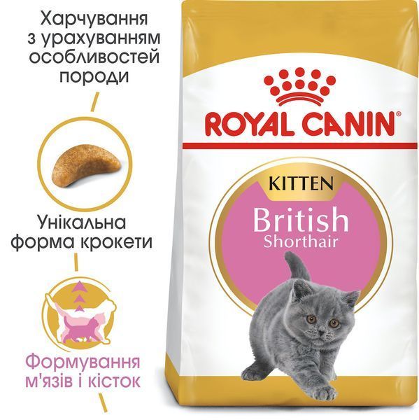 Сухий корм Royal Canin British Shorthair Kitten для кошенят, британська порода 2 кг 2566020 фото
