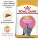 Сухий корм Royal Canin British Shorthair Kitten для кошенят, британська порода 2 кг 2566020 фото 2