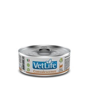 Вологий Farmina Vet Life Convalescence для котів при відновленні після хвороби чи операції 85 г 166138 фото