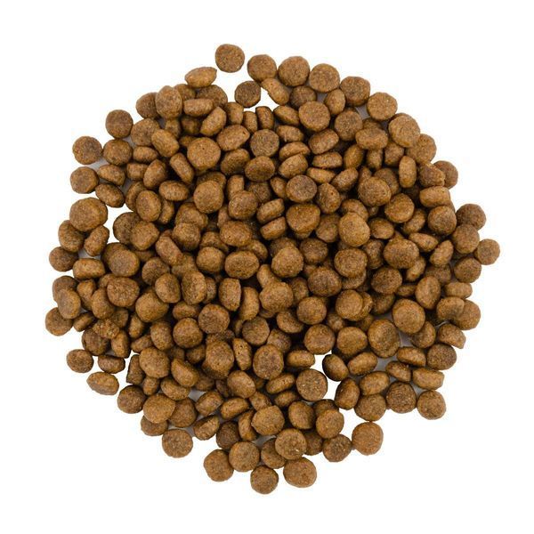 Сухой корм Savory Adult Cat для взрослых котов, со свежей индейкой и уткой 400 г 30044 фото