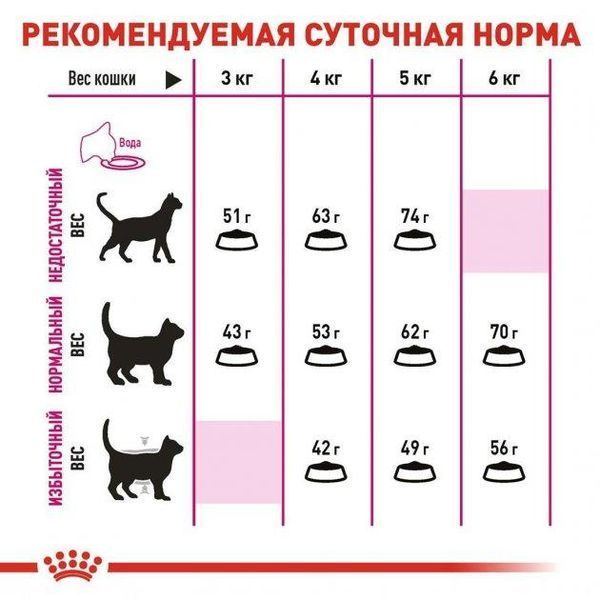 Сухий корм Royal Canin Exigent Savour для дорослих котів, вибагливих до смаку 10 кг 2531100 фото