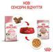 Влажный корм Royal Canin Kitten для котят от 4 до 12 месяцев, кусочки в желе 85 г 4150001 фото 5
