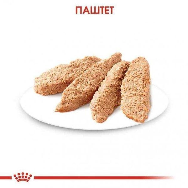Вологий корм Royal Canin Kitten для кошенят від 4 до 12 місяців, паштет 85 г 41450011 фото