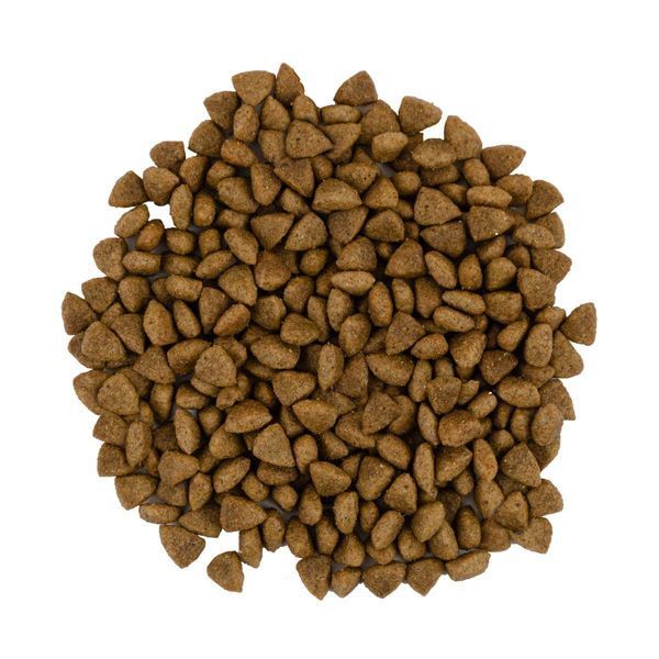 Сухой корм Savory Adult Cat Sensitive Digestion для взрослых котов с чувствительным пищеварением, с ягнятиной и индейкой 400 г 30075 фото
