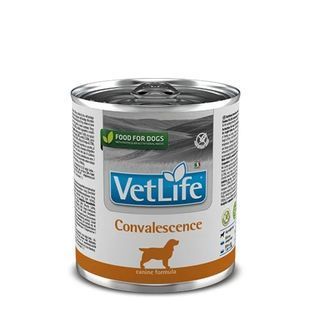 Вологий корм Farmina Vet Life Convalescence для собак при відновленні після хвороби чи операції 300 г 166136 фото