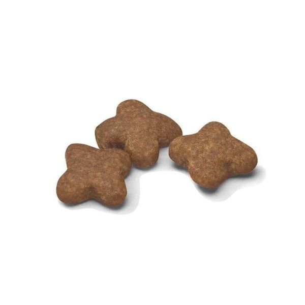 Сухой корм Royal Canin Mini Adult 8+ для пожилых собак, мелких пород старше 8 лет 800 г 3002080 фото