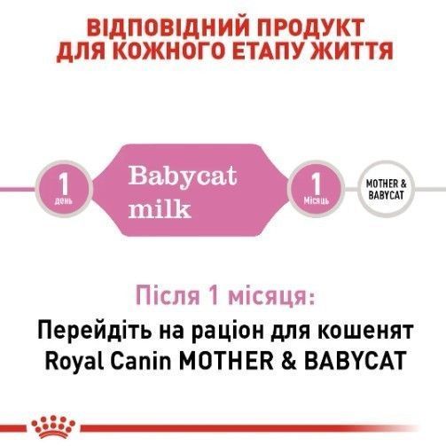 Замінник молока Royal Canin Babycat Milk для кошенят всіх порід 300 г 2553003 фото
