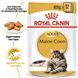 Вологий корм Royal Canin Maine Coon для дорослих котів породи мейн-кун, шматочки в соусі 85 г 2031001 фото 2