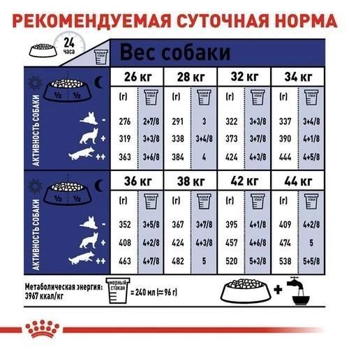 Сухий корм Royal Canin Maxi Adult для дорослих собак великих порід 4 кг 30070400 фото