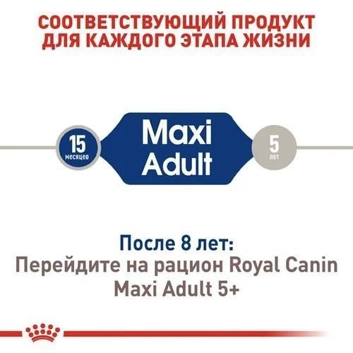 Сухий корм Royal Canin Maxi Adult для дорослих собак великих порід 4 кг 30070400 фото