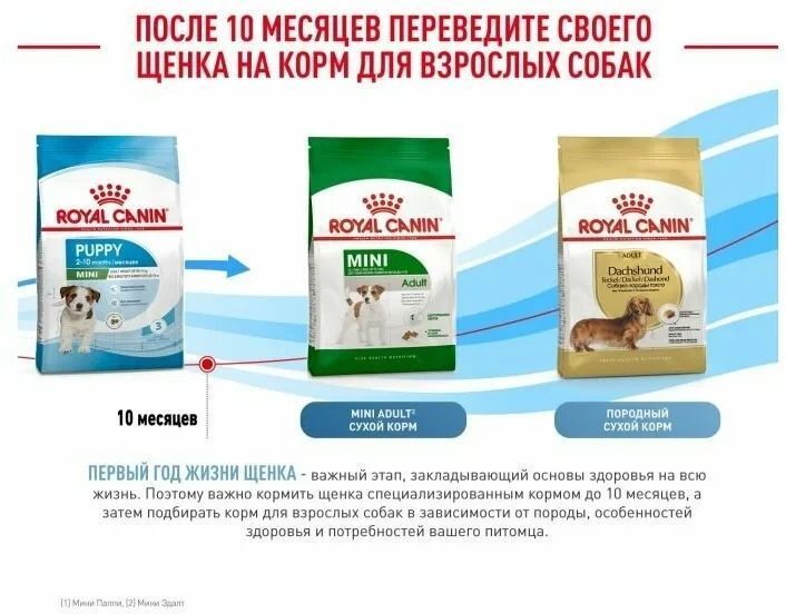 Сухой корм Royal Canin Mini Puppy для щенков, мелких пород до 10 месяцев 2 кг 30000202 фото